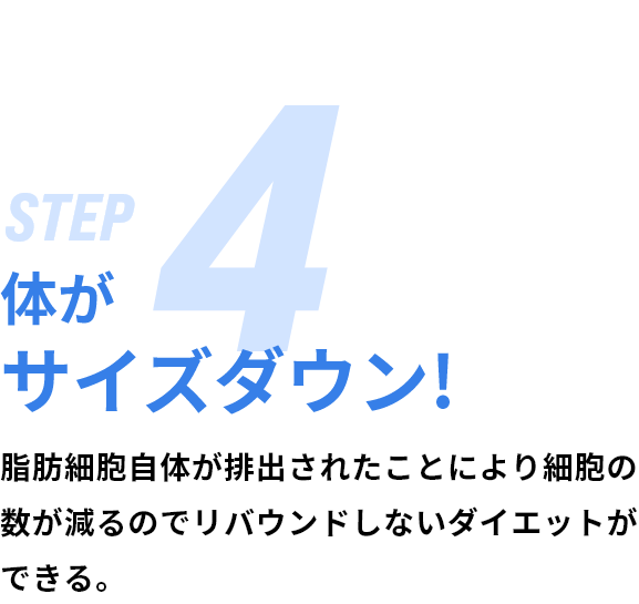 体がサイズダウン!