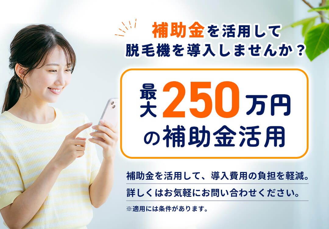 最大250万円の補助金活用