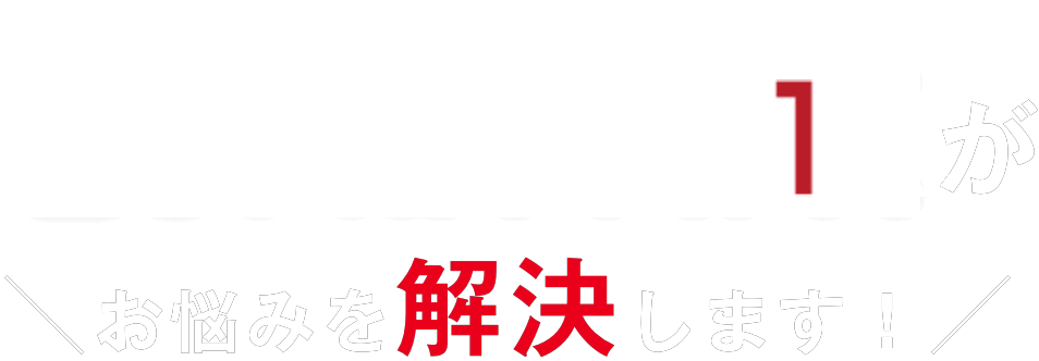 LUMIX NO.V1Aがお悩みを解決します！